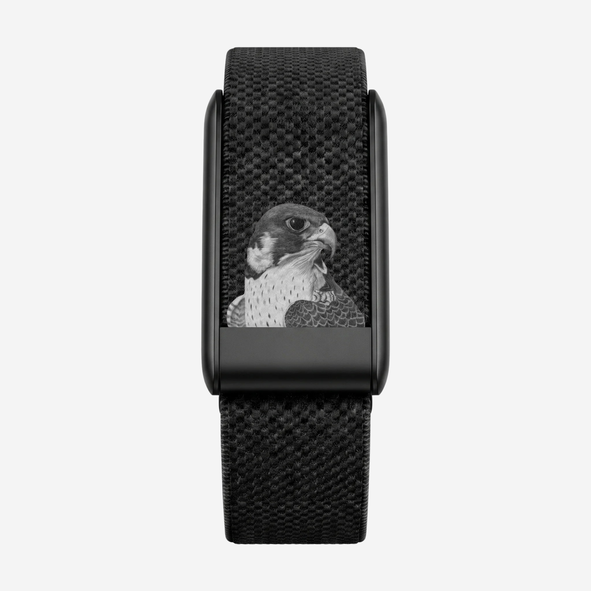 Falcon Black